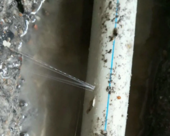 库车卫生间测漏水多少钱